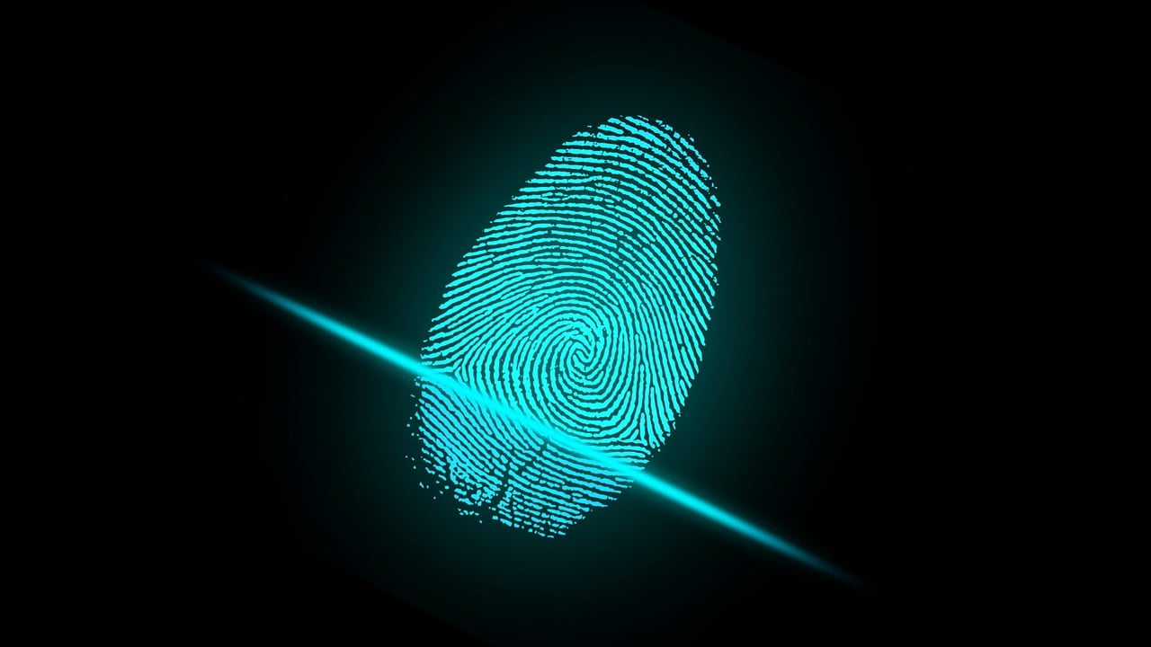 finger, fingerprint, security-2081169.jpg